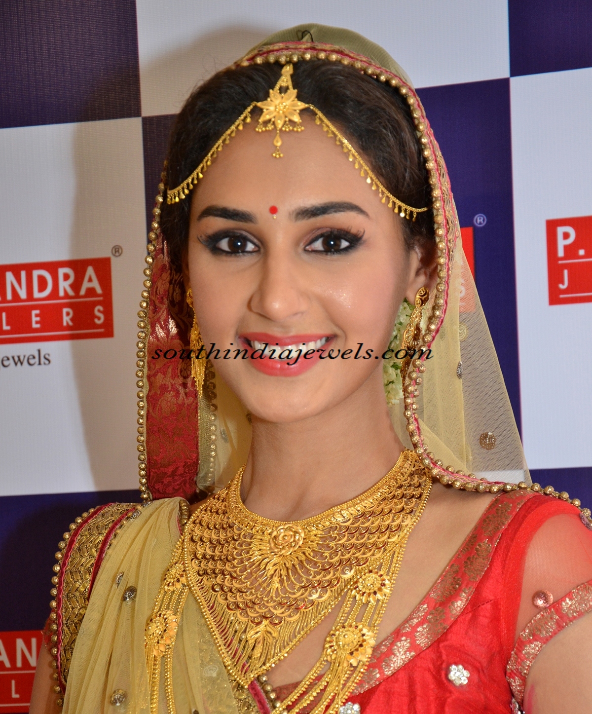 Gold Jewellery model with catchy jewels - South India Jewels