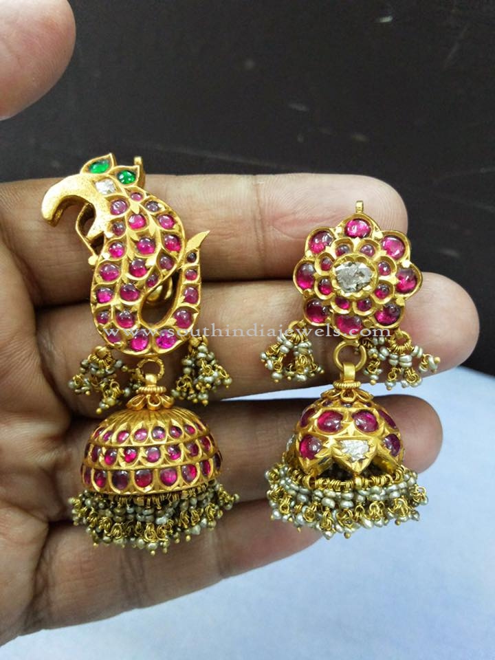 Peacock Design Earrings in Gold