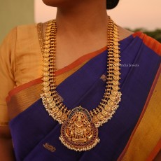 Gorgeous-Lakshmi-Coin-Bridal-Haram