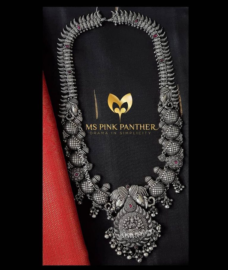 Attractive Silver Long Necklace From Ms Pink Panthers